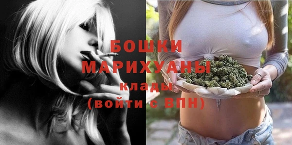 мдпв Верея